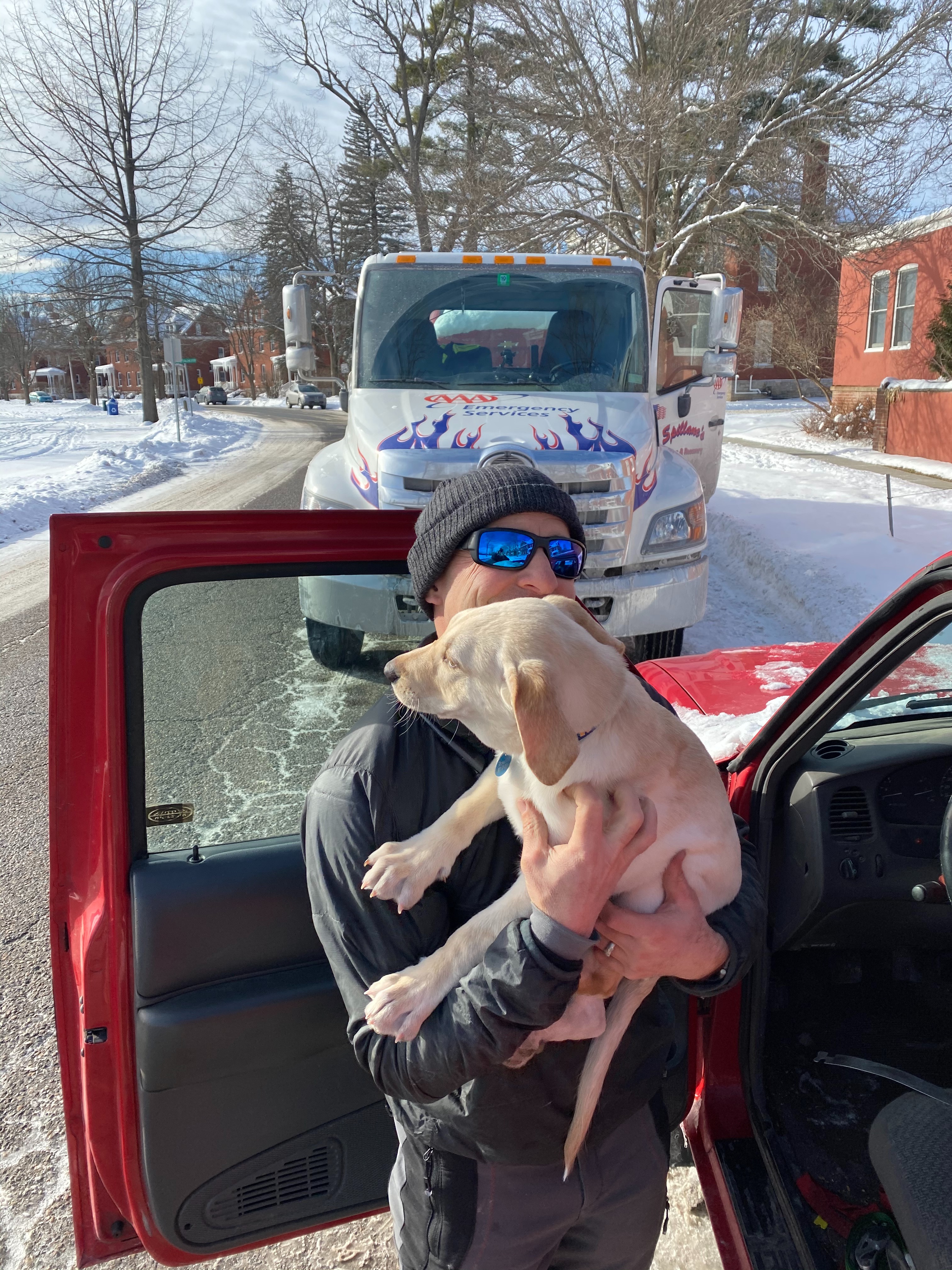 Dog Rescue
